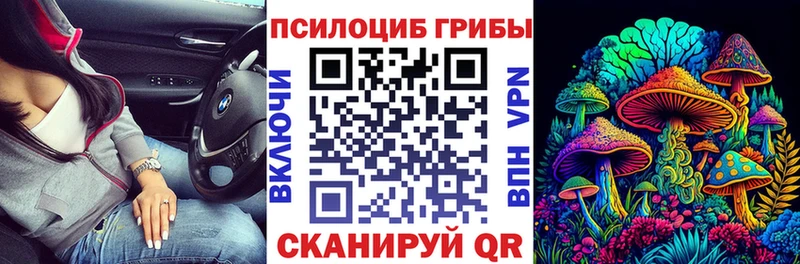 Галлюциногенные грибы прущие грибы  Голицыно 